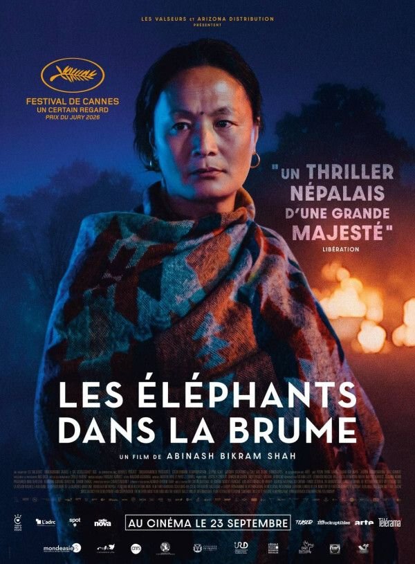 LES ELEPHANTS DANS LA BRUME