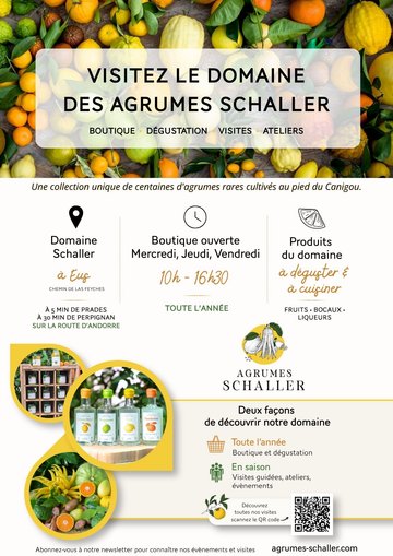 VISITE LES FRUITS D'AGRUMES RARES
