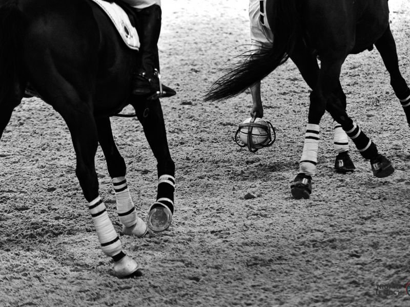 Concours régional de Horse-Ball