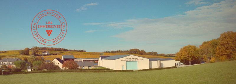 [Vignobles en Scène !] Jeu de piste dans les vignes