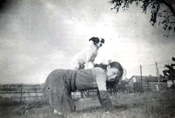 Exposition canine