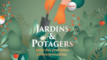 Jardins & potagers : Recycle tes rouleaux, sème des tournesols !