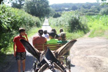 La Ferme Le Coq à l'âne