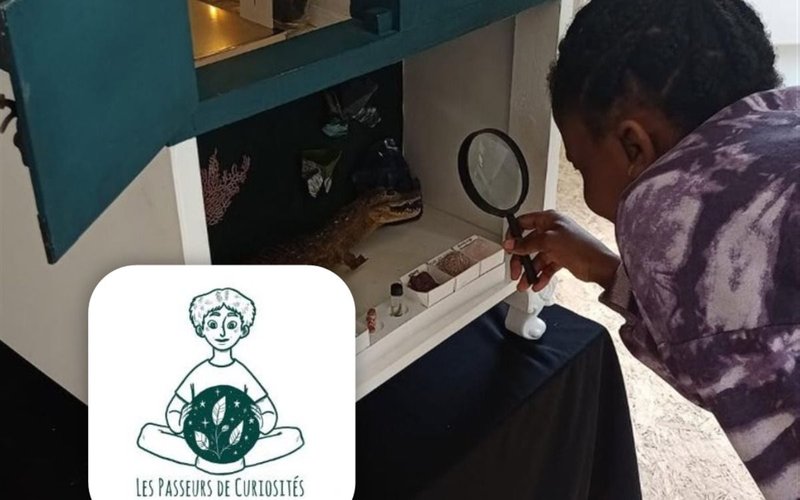 Escape Box avec "Les Passeurs de Curiosités"