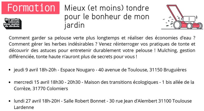 Mieux (et moins) tondre pour le bonheur de mon jardin !