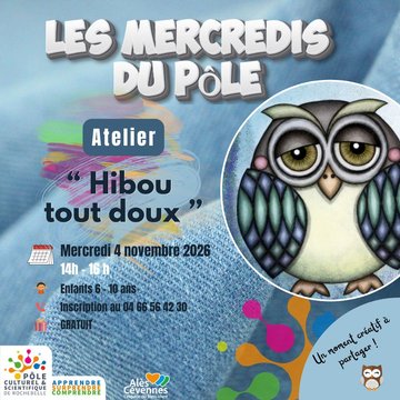 Les Mercredis du Pôle " Hibou tout doux "