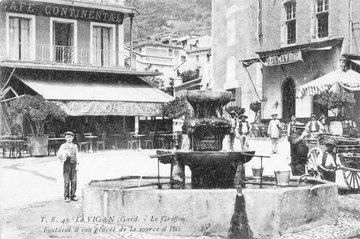 La grande collecte des Cévennes