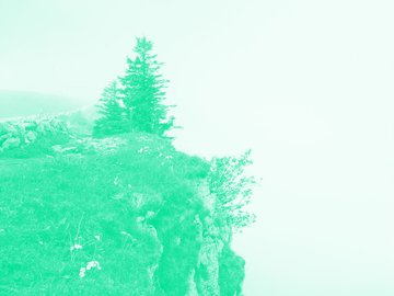 Insân