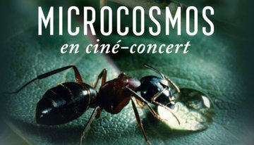 Ciné-concert Microcosmos, le peuple de l’herbe