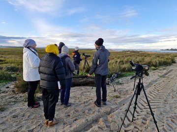 Point d'observation - Eurobirdwatch