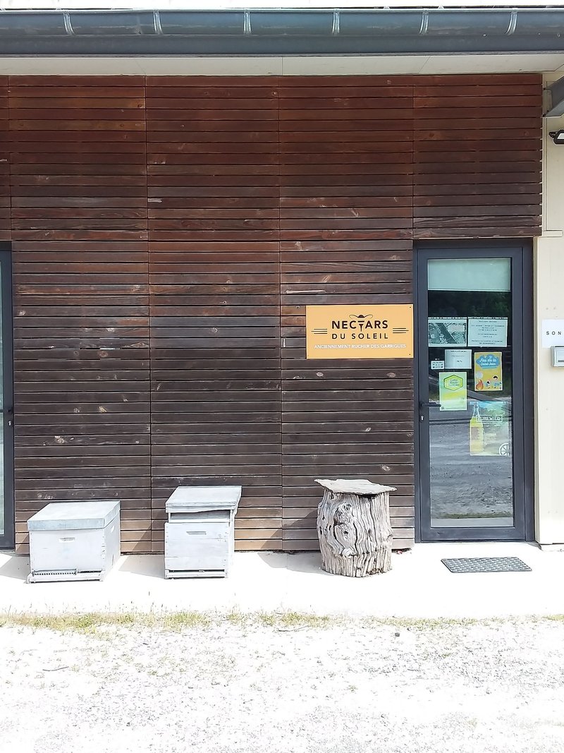 Découvrez la vie des abeilles en vous amusant