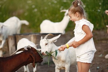 Sortie à la ferme avec La Croisée des Villages