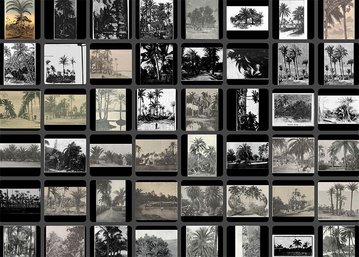 Face au déluge des images