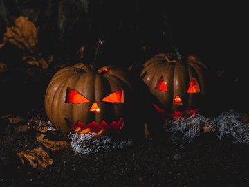 Atelier : décoration de citrouilles
