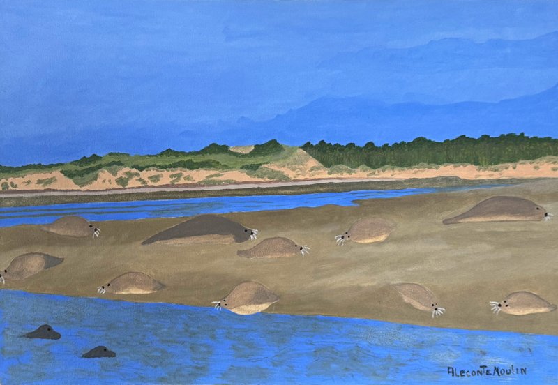 DE LA BAIE DE SOMME AUX COULEURS DU SUD