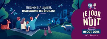 Balade crépusculaire dans les marais