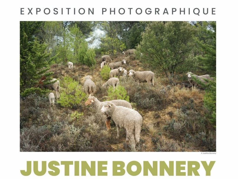 JUSTINE BONNERY : CHRONIQUES RURALES