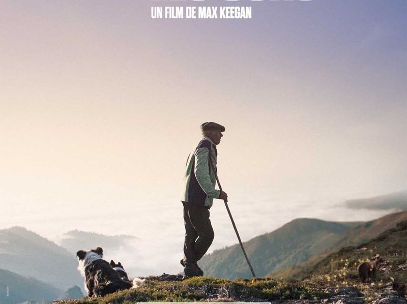 Le Berger et les ours : Cinéma à Vasles