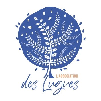 Remise à niveau du permis de conduire