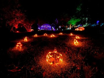 Nuits des Lumiéres