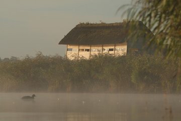 Oiseaux hivernants