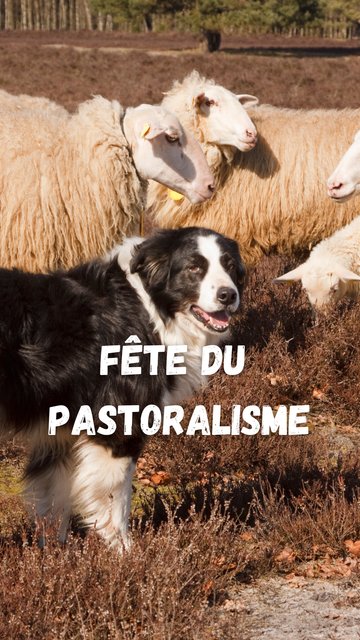 FÊTE DE LA TRANSHUMANCE