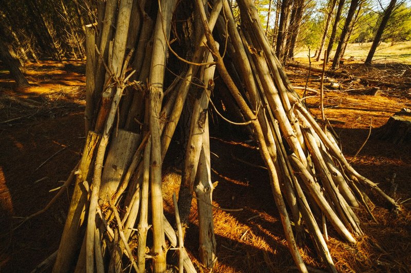 Atelier réalisation d'un abri "tipi"