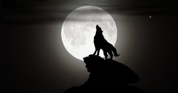 Soirée Loup-Garou de Thiercelieux - adultes