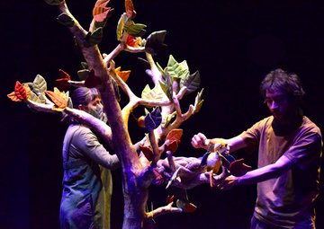Spectacle "Le Premier Envol"