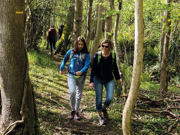 Marche et brunch des Hirondelles