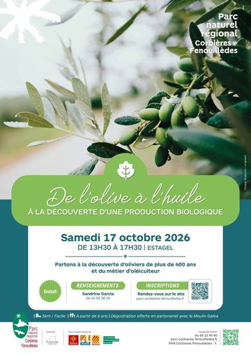 DE L'OLIVE À LHUILE : PARTONS À LA DÉCOUVERTE D'UNE PRODUCTION BIOLOGIQUE