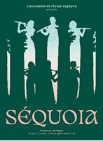 Séquoia