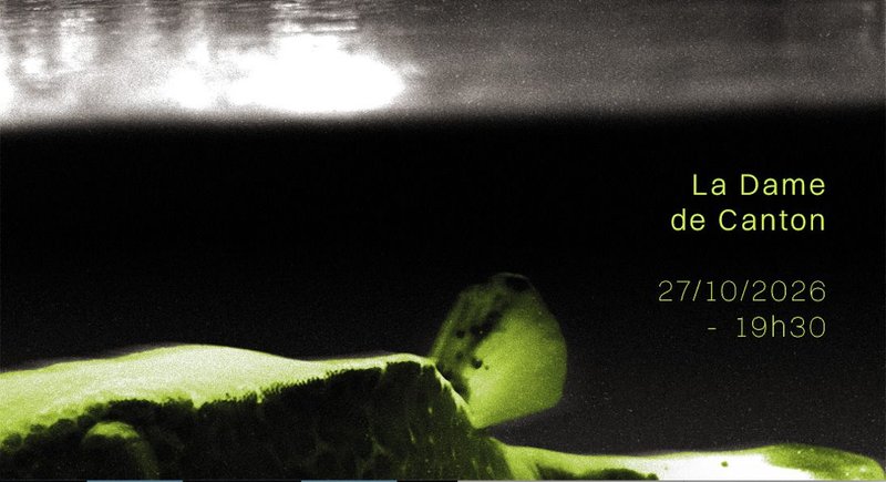 FISH DON'T EXIST x SCLERODA x EIGENGRAU