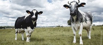 Nourrir l'humanité c'est un métier (théâtre)