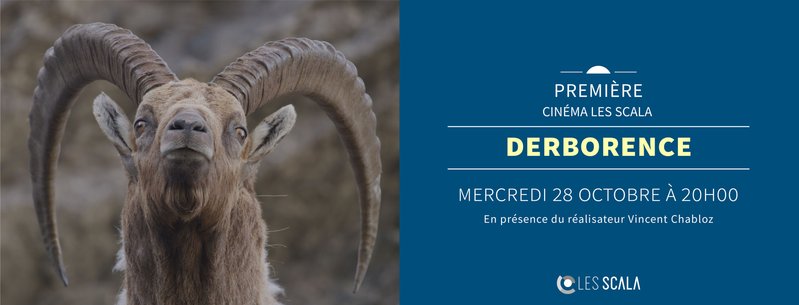 Première DERBORENCE - LE TEMPS DES ANIMAUX