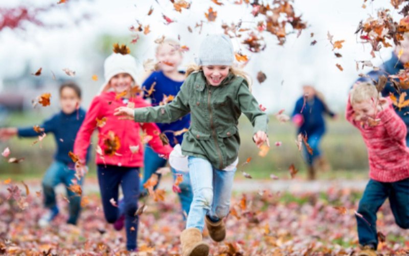Stage Multiactivités (thème automne)