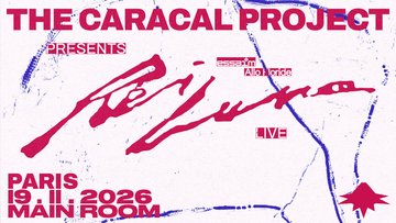 The Caracal Project — Main Room