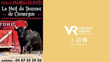 COURSE CAMARGUAISE - ECOLE TAURINE - PALAVAS 28 OCTOBRE
