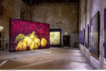 Exposition Les pas du silence