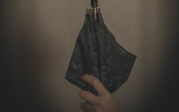 Le Parapluie de Rosa Parks