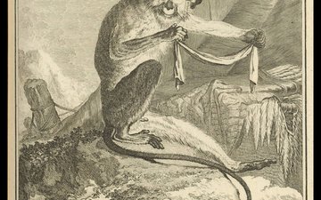 Conte tout petits : Animalia. Zimba et le bracelet perdu - Hôtel de la Marine