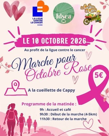 Marche pour Octobre Rose