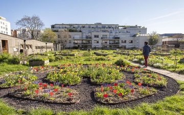 Les activités du Paysan Urbain Paris : le Programme de Octobre 2026