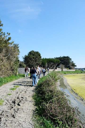 Visite nature dans les marais salants