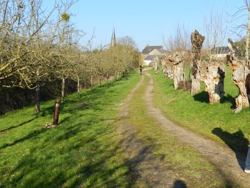 Randonnée pédestre à Boursay