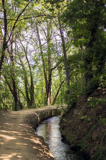 RANDO ACCOMPAGNEE : LE CANAL DE BOHERE ET L'ABBAYE SAINT-MICHEL DE CUXA