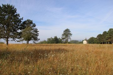 Balade « Découverte paysagère au plateau de Beauregard »