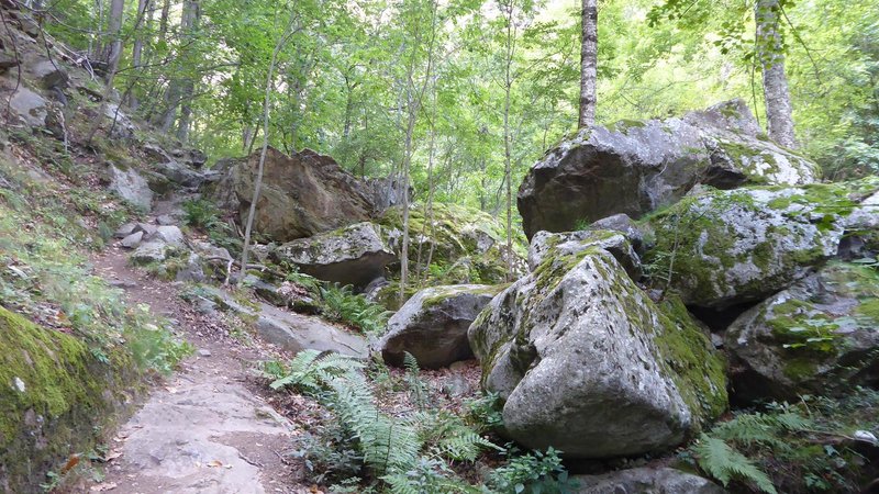 RANDO ACCOMPAGNEE : BOUCLE DE L'ABBAYE SAINT-MARTIN DU CANIGOU