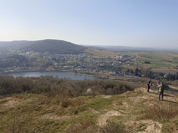 Reconnexion des petites pelouses naturelles