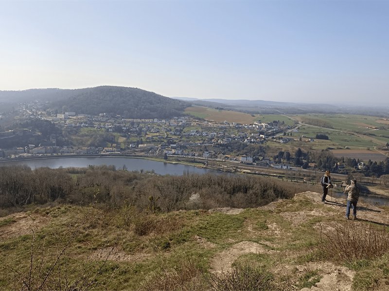 Reconnexion des petites pelouses naturelles